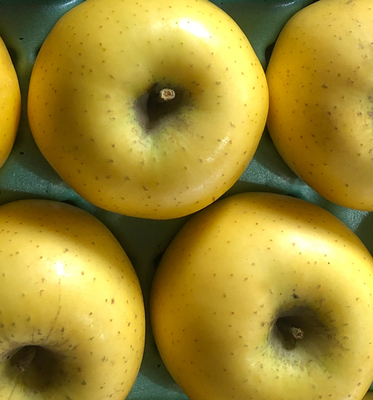 シナノゴールド