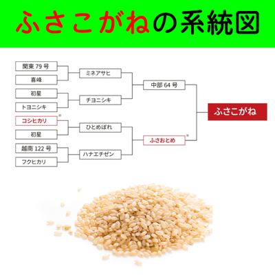 千葉県産 ふさこがね 【白米】 | たのしい米屋ドットコム