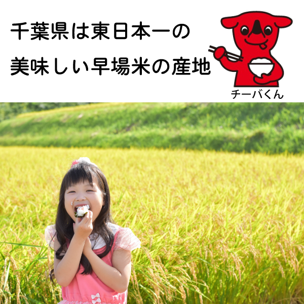 ふさおとめ　白米　15kg キハちゃん 千葉県産 ふさおとめ【白米】 | たのしい米屋ドットコム