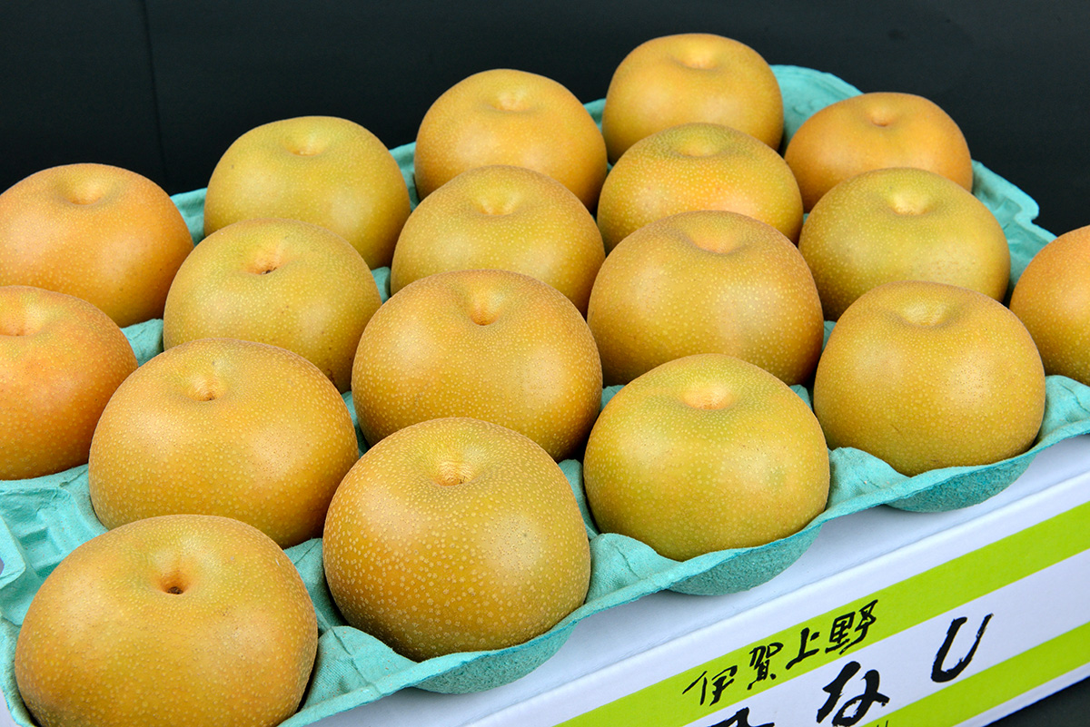 季節限定】産地直送！ 白鳳梨 1L玉×18個セット  ＩＧＡＭＯＮＯ