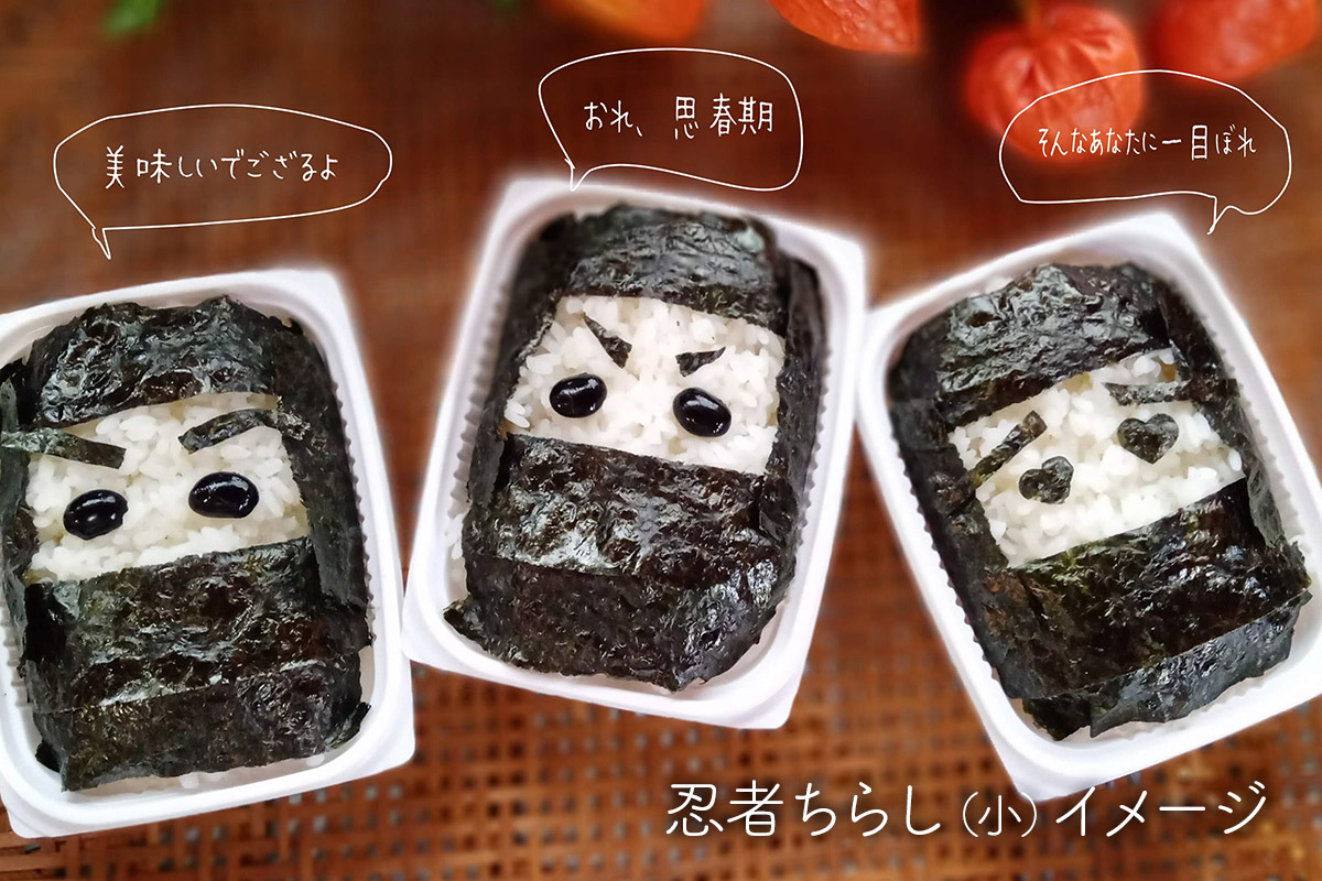 冷凍便でお届け！ 忍者ちらし＆伊賀牛コマ切れのセット（寿司2点＋肉