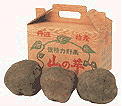 丹波特産 山の芋 秀品1kg