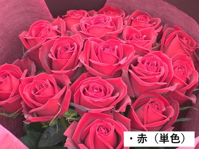 山形県鮭川村産】バラ（花束） | YBCやまがた情熱市場