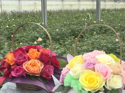 在庫写真 バラ売り可 山形県鮭川村産】バラ（アレンジメント） | YBCやまがた情熱市場