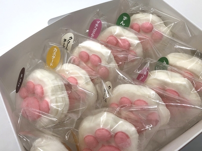 ずっと気になってた こねこのしおちゃん | YBCやまがた情熱市場 その他
