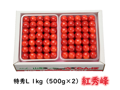 紅秀峰特秀