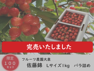 【限定100セット】 フルーツ農園大泉 【佐藤錦】1㎏バラ詰め（送料無料）山形のさくらんぼ