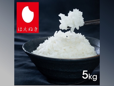 【約400年続く米農家の特別栽培米】山形県産「はえぬき」（5㎏）【50袋限定】【令和6年度米】