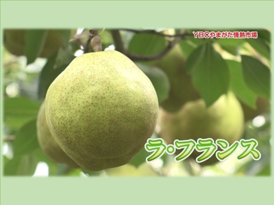 【送料無料】特秀ラ・フランス桐箱入り（4L／8玉）【旬の味覚】