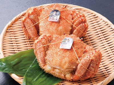 〈カタログ掲載〉ボイル毛蟹姿 （3尾）