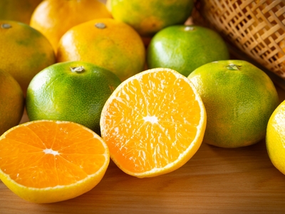 〈カタログ掲載〉九州産早生みかん（約5㎏）