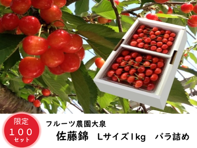 【限定100セット】 フルーツ農園大泉 【佐藤錦】1㎏バラ詰め（送料無料）山形のさくらんぼ