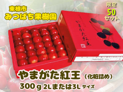 【50セット限定！】やまがた紅王　2L-3L化粧詰　300g 【山形のさくらんぼ】（送料無料）