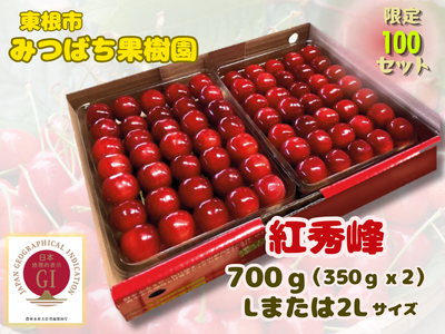 【100セット限定】【GI「東根さくらんぼ」認定】紅秀峰700ｇLまたは2L【山形のさくらんぼ】（送料無料）