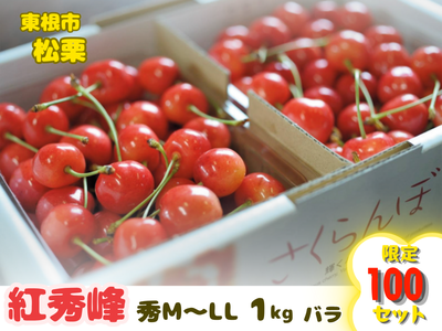 山形のさくらんぼ | YBCやまがた情熱市場