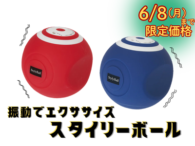 スタイリーボール【～6/8（月）まで限定価格】【キャンペーン】