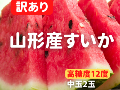 【注文受付8/15まで】【2玉】山形産スイカ　訳あり品　中玉L～3L(6～9kg相当)