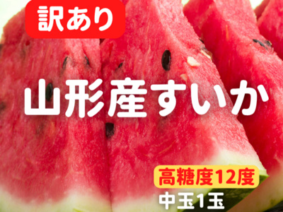 【注文受付8/15まで】【1玉】山形産スイカ　訳あり品　中玉L～3L(6～9kg相当)