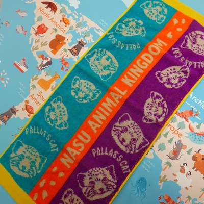 フェイスタオル (今治タオル) マヌルネコ