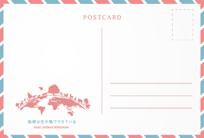 オリジナル ポストカード】21047 アカカワイノシシ 3頭横向 | 那須