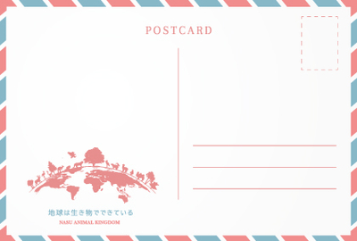 1ポストカード-宛名面