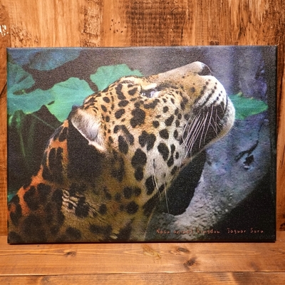 アートボード　ジャガー　333mm&times;242mm 厚さ16mm