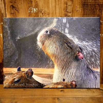 アートボード　温泉カピバラ　333mm&times;242mm&times;16mm