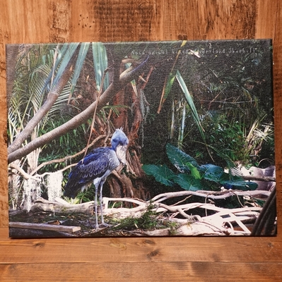 アートボード　ハシビロコウ　333mm &times; 242mm &times; 16mm