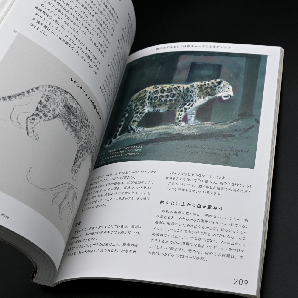 基本の動物デッサン 那須どうぶつ王国ネット 基本の動物デッサン 那須どうぶつ王国ネット