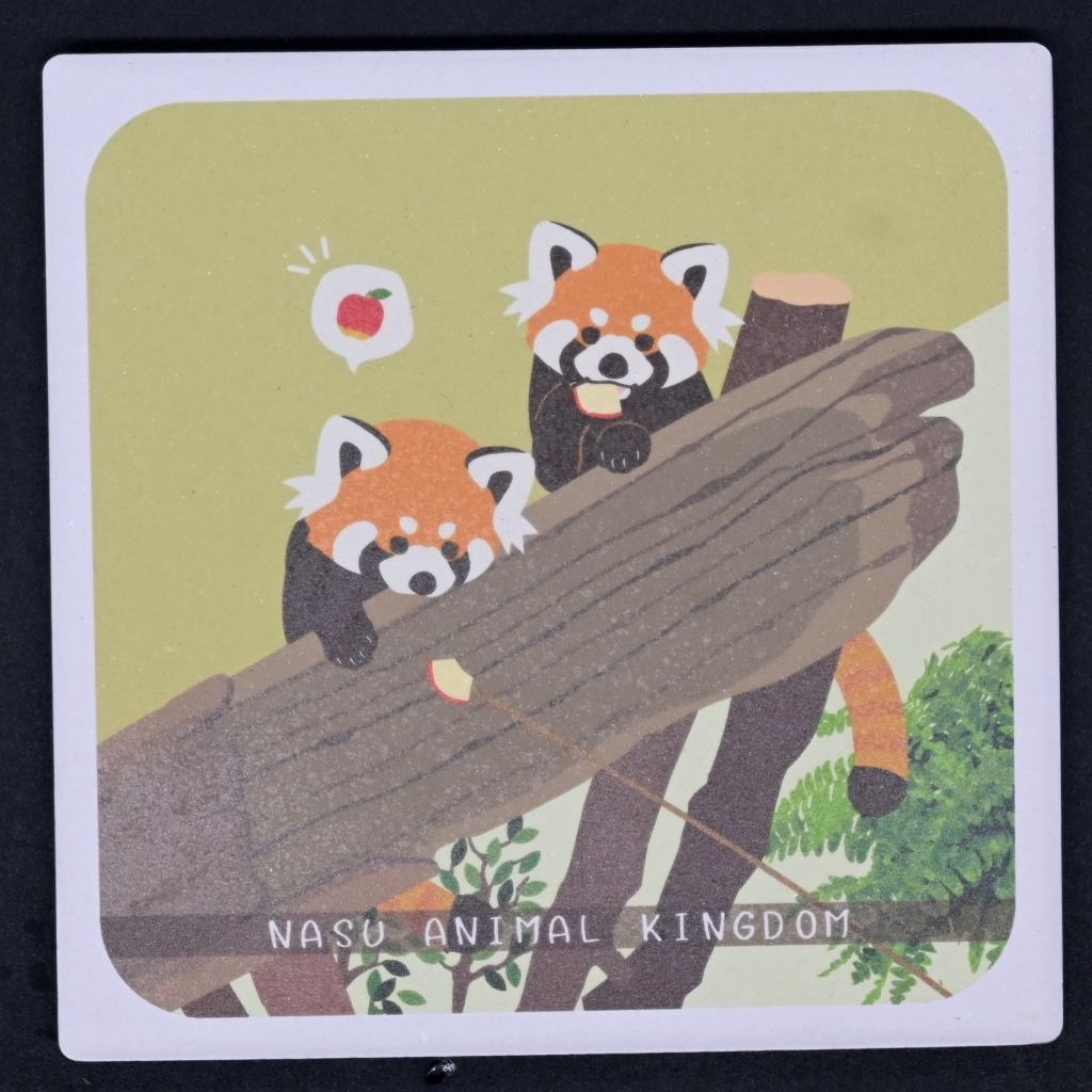 キングダム 白雲石吸水コースターアジアの森レッサーパンダ【Original