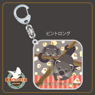 那須どうぶつ王国　アジアの森　缶バッジ　アクキー　コンプリートセット　マヌルネコ 那須どうぶつ王国 アジアの森 缶バッジ アクキー フル