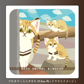 キングダムミニタオル スナネコ【Original】保全の森 フルカラー19.5cm