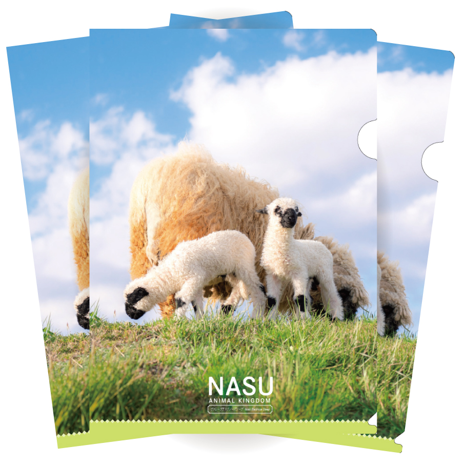 2311クリアファイル ヴァレーブラックノーズシープ【Original