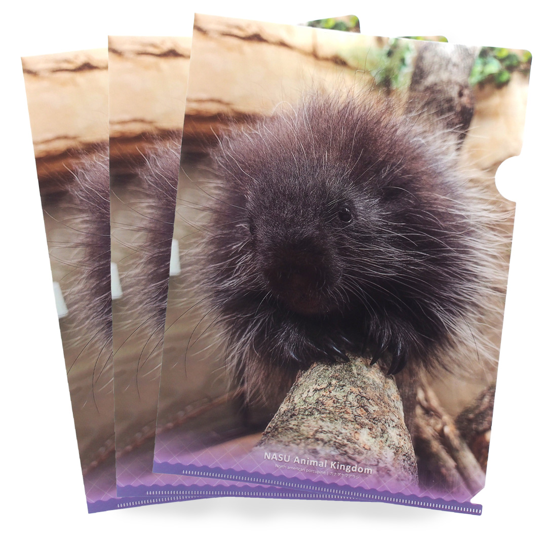 クリアファイル3枚set カナダヤマアラシ 【original】3枚setで20%OFF