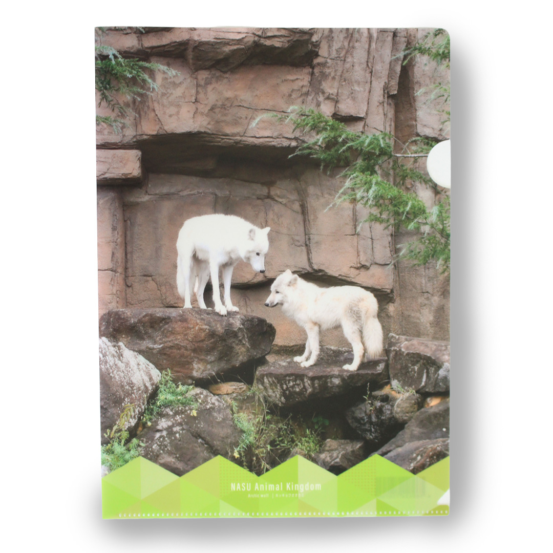 クリアファイル ホッキョクオオカミ 岩 【original】 | 那須どうぶつ