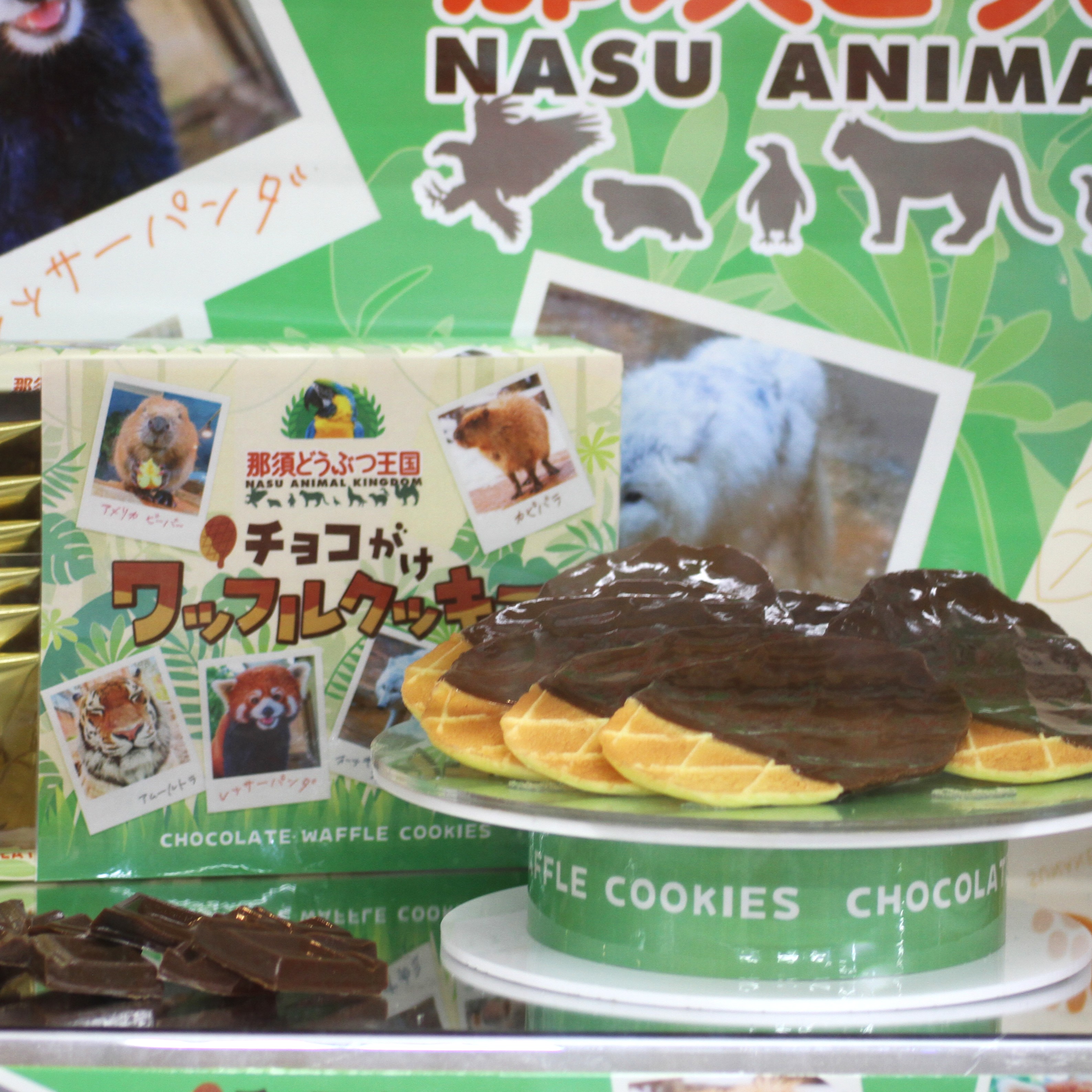original】那須どうぶつ王国 チョコがけワッフルクッキー | 那須