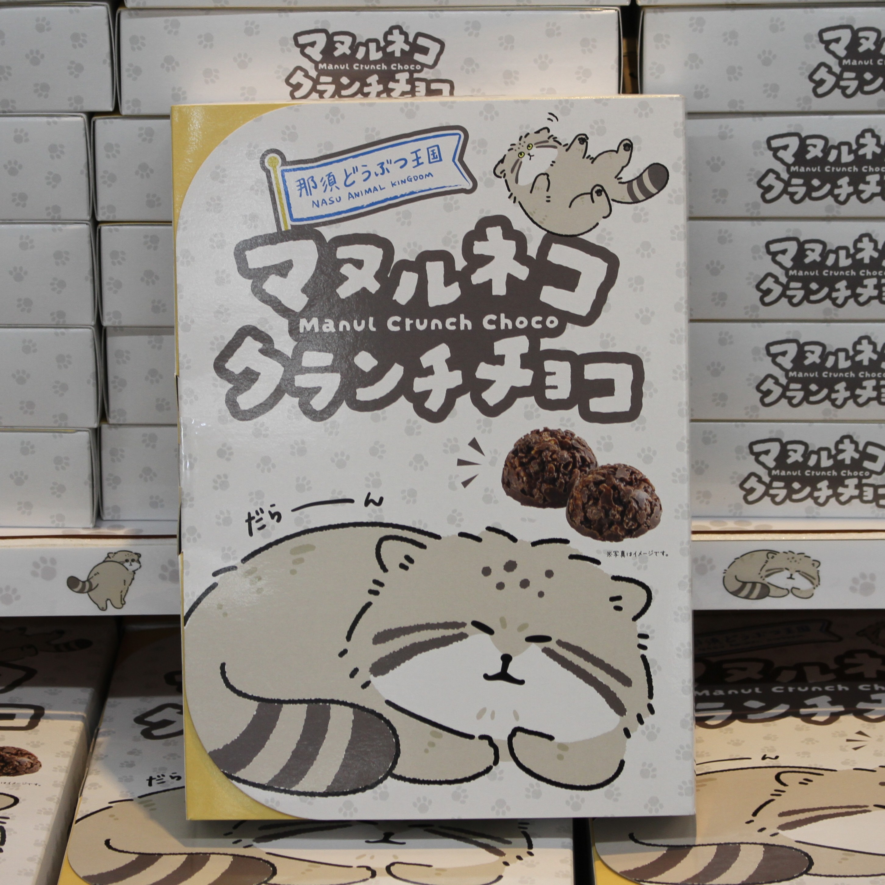 original】那須どうぶつ王国 マヌルネコクランチチョコ | 那須どうぶつ