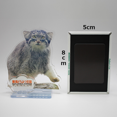 アクリル画　マヌルネコ アクリル画 マヌルネコ