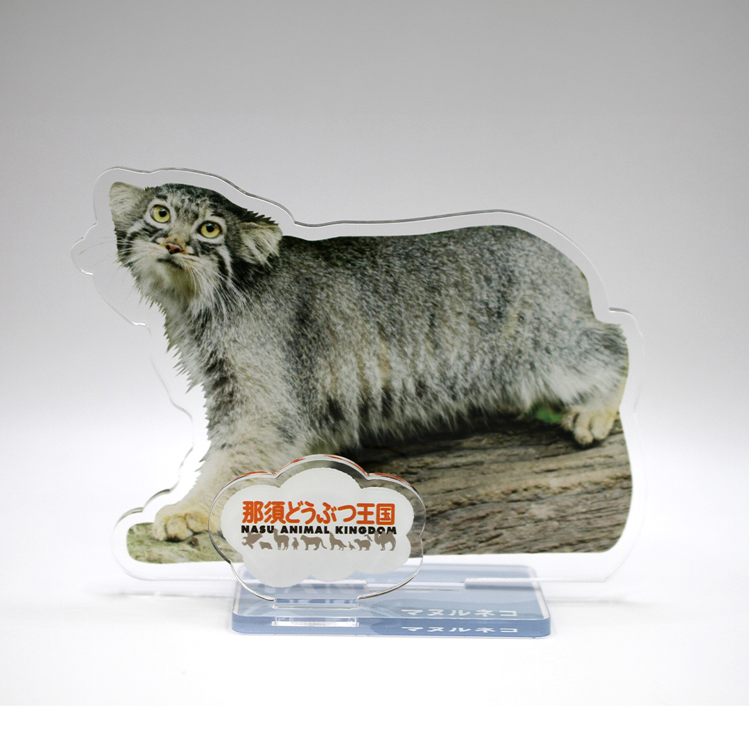 original】プレート型アクリルスタンド マヌルネコ （木左向き