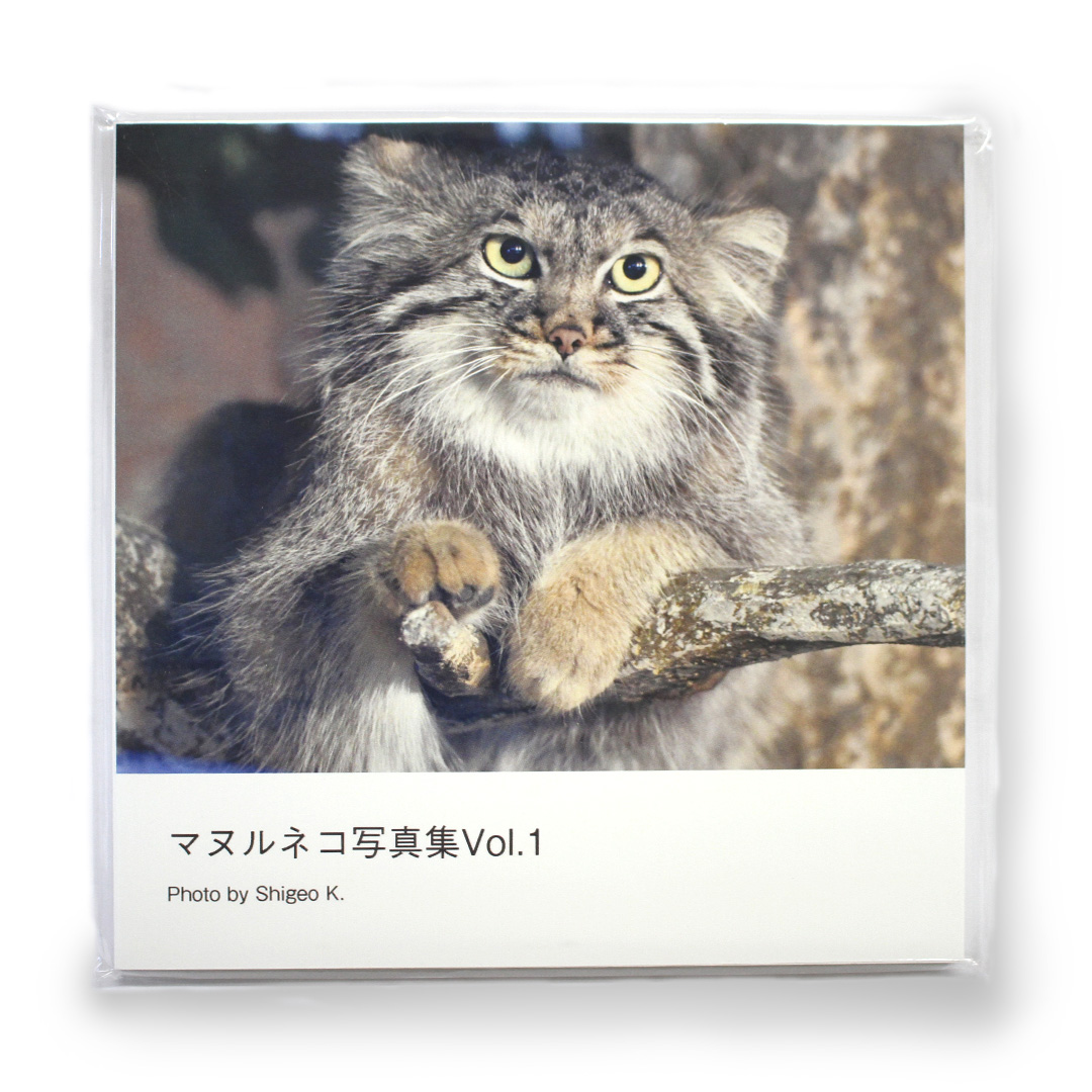 original】マヌルネコ 写真集 vol.1 | 那須どうぶつ王国ネット