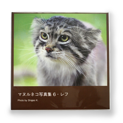 【original】マヌルネコ　写真集　vol.6