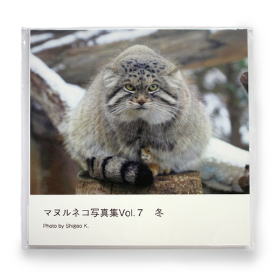 【original】マヌルネコ　写真集　vol.7