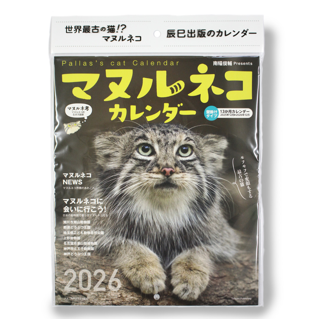 2026 マヌルネコカレンダー | 那須どうぶつ王国ネット