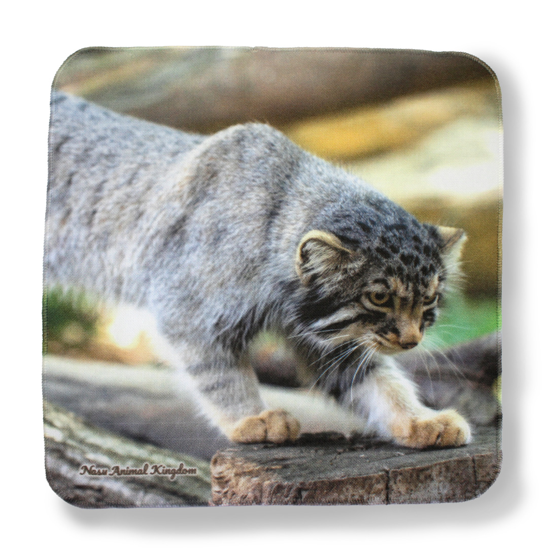 うなりさん専用ホヌ50cm original】ガーゼハンドタオル マヌルネコ ナゴム 木の上歩き | 那須