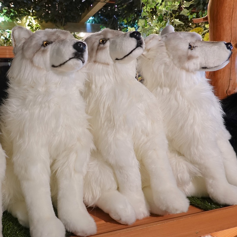 那須どうぶつ王国 限定 ひざおおかみ ホッキョクオオカミ S ぬいぐるみ ひざオオカミ ホッキョクオオカミ S 【Original】 | 那須