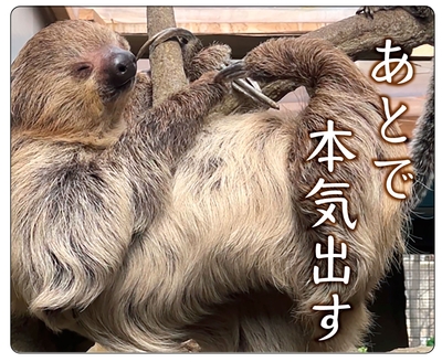 マウスパッド/ラバーマット　ナマケモノ【original】「あとで本気出す」