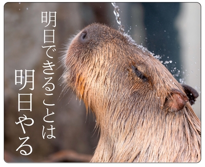 マウスパッド/ラバーマット　カピバラ【original】「明日できることは明日やる」