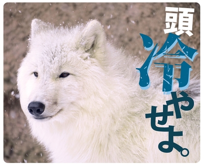 マウスパッド/ラバーマット　オオカミ【original】「頭冷やせよ」