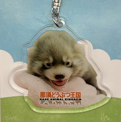 【original】レッサーパンダBABYアクリルキーホルダー　タオル上