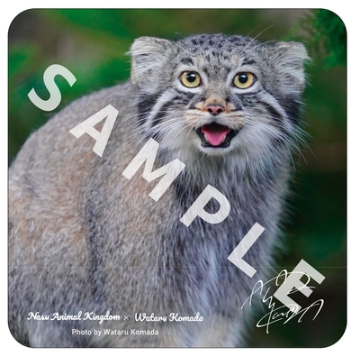 【駒田航×マヌルネコ】ガーゼハンドタオル 笑顔